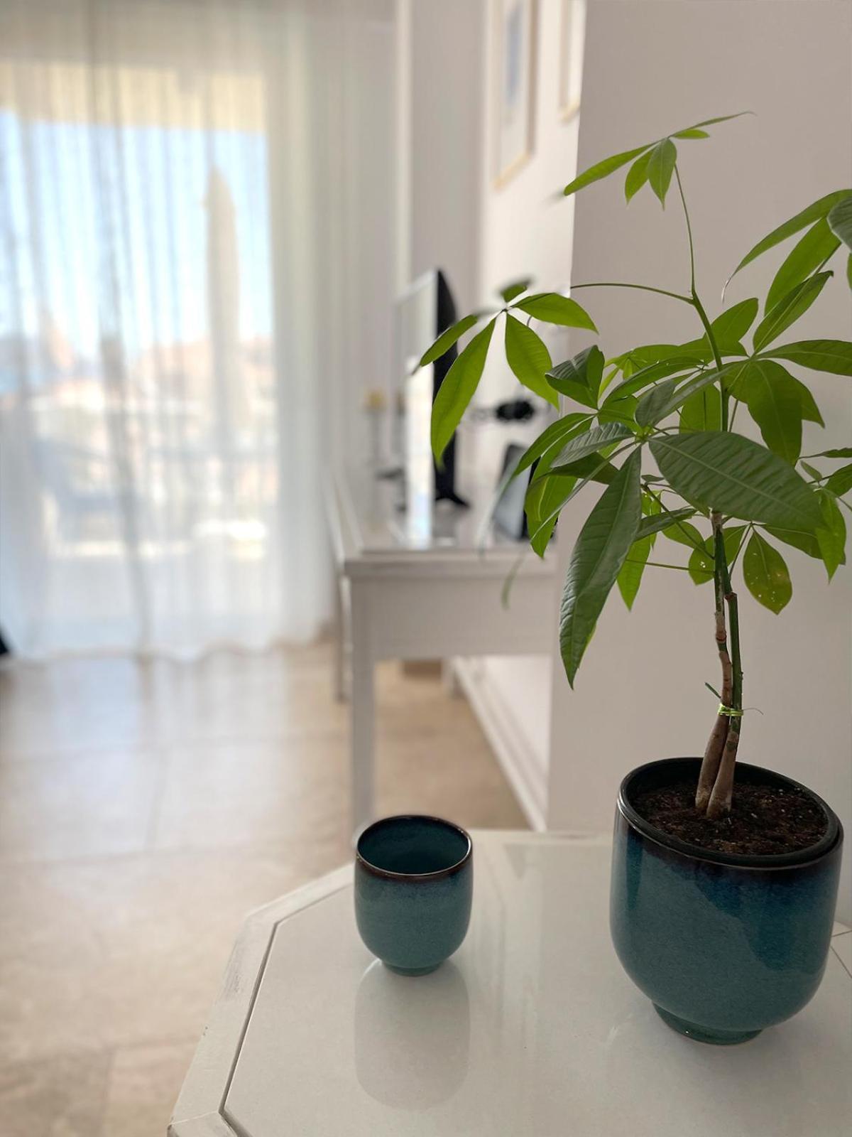 Odysseus Boutique Apartment Ermioni Dış mekan fotoğraf